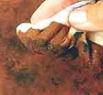 Porta-jóias: foto 3