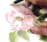 Jogo de cozinha: foto 4