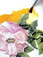 Jogo de cozinha: foto 7