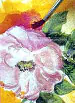 Jogo de cozinha: foto 9