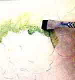 Porta Joias Valiosas: foto 4