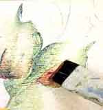 Porta Joias Valiosas: foto 6