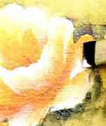 Porta Joias Valiosas: foto 7