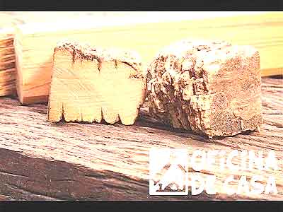 Identificar uma boa madeira